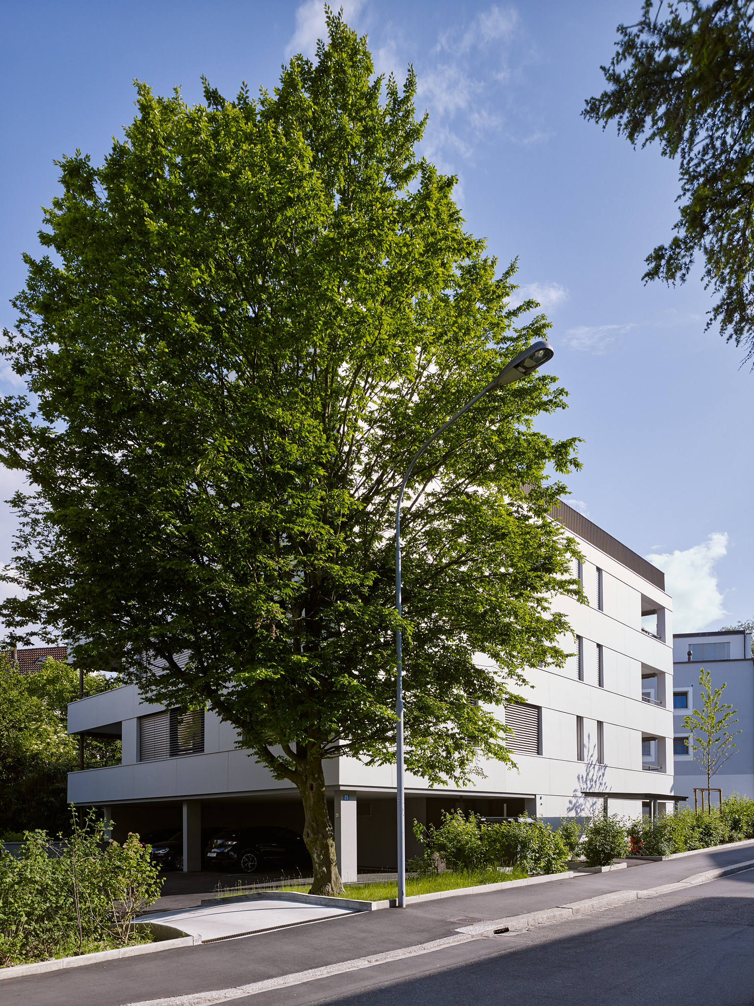 E15551 Alpa 051327 SCREEN